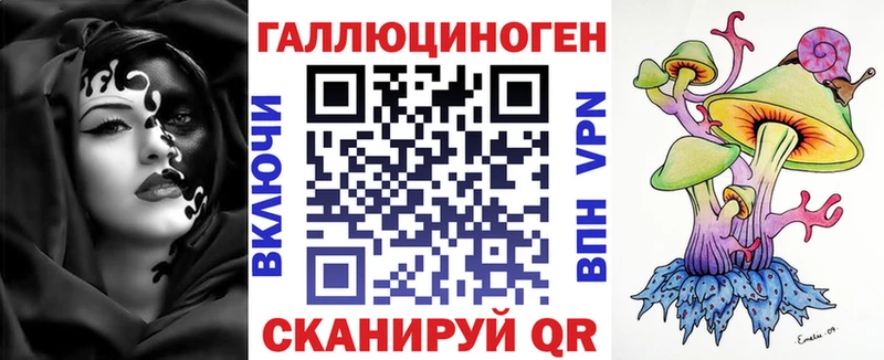 Псилоцибиновые грибы Psilocybe Нахабино