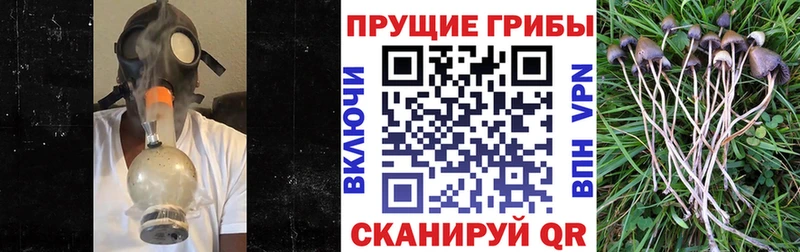 Псилоцибиновые грибы MAGIC MUSHROOMS  Нахабино 